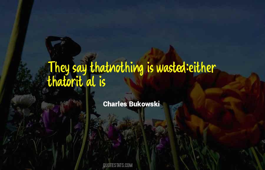 Nothing Is Wasted Quotes #206343