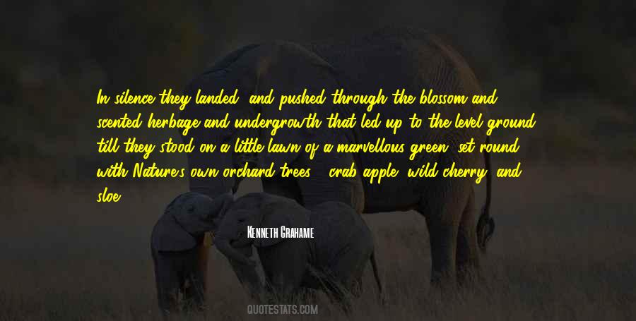 The Wild Trees Quotes #635998