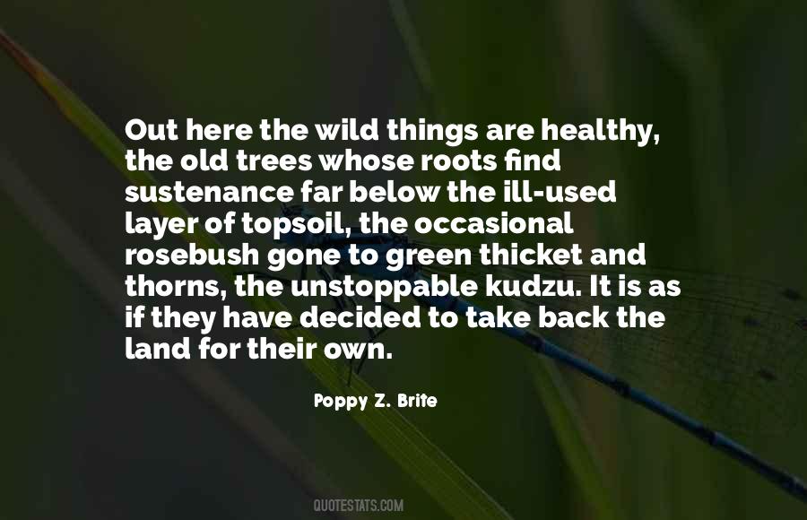 The Wild Trees Quotes #653559