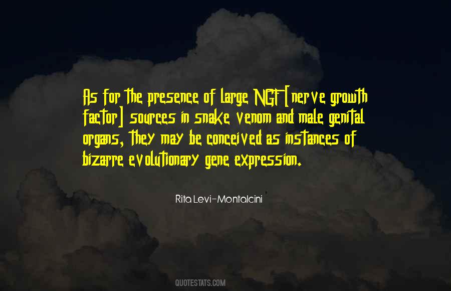 Silkin Bella Quotes #1156205