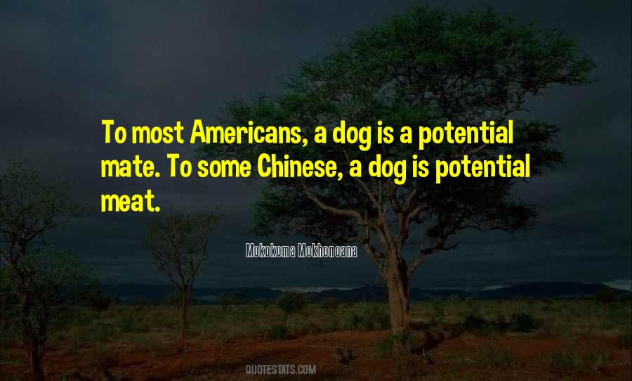 Chinese Americans Quotes #762700