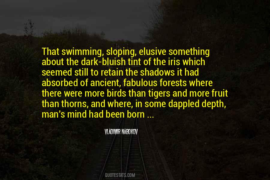 Dark Forests Quotes #1570636