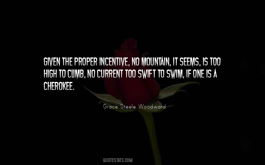 Whatever Mountain You Climb Quotes #774041