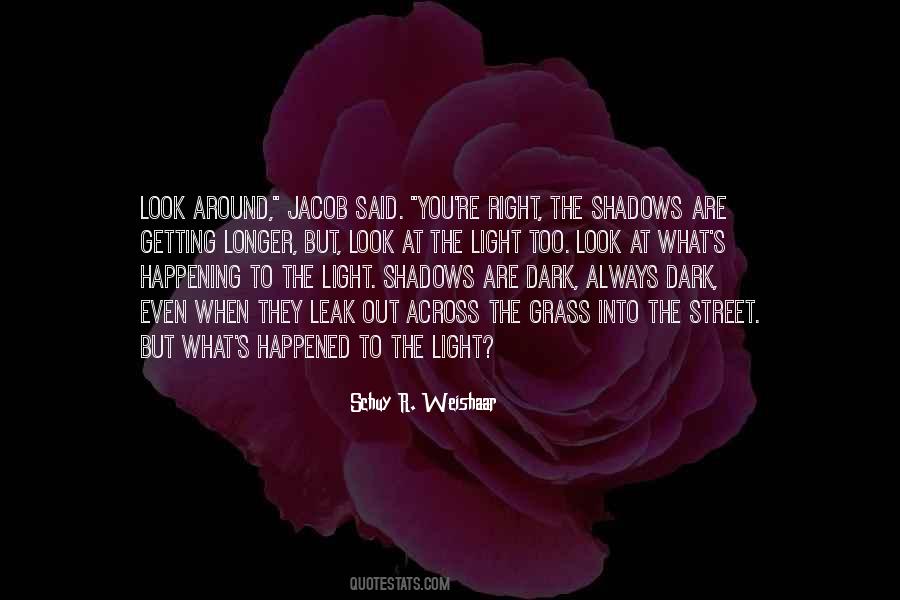 Dark Into Light Quotes #1247976