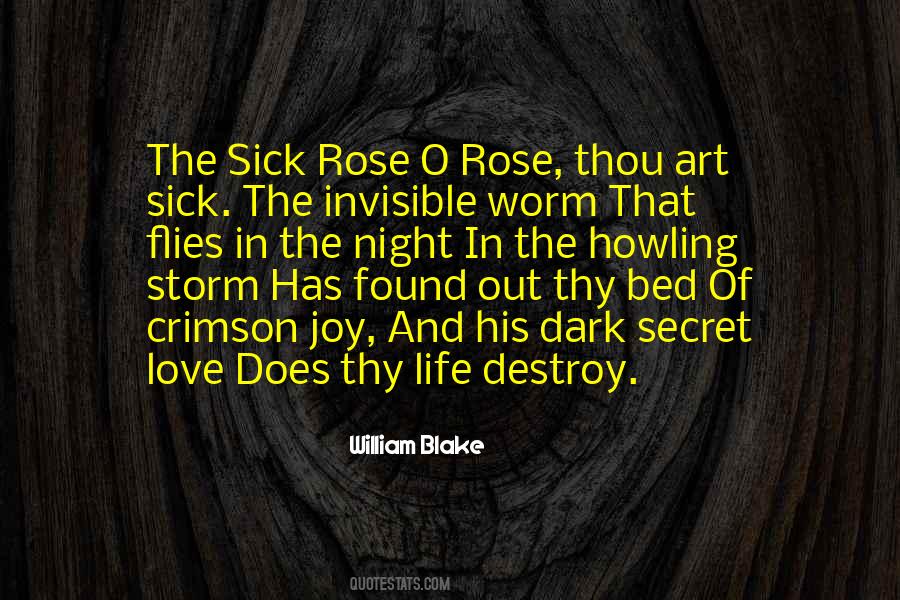 Dark Rose Quotes #1068575