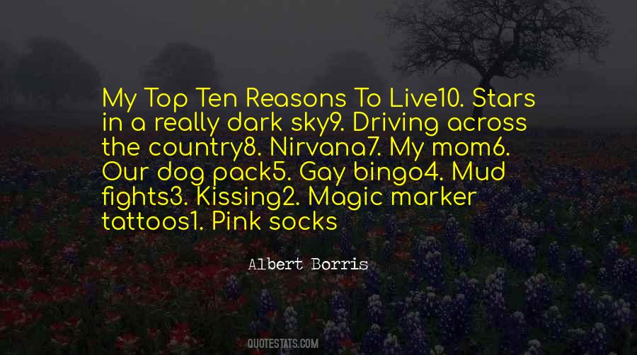 Dark Sky Quotes #120950