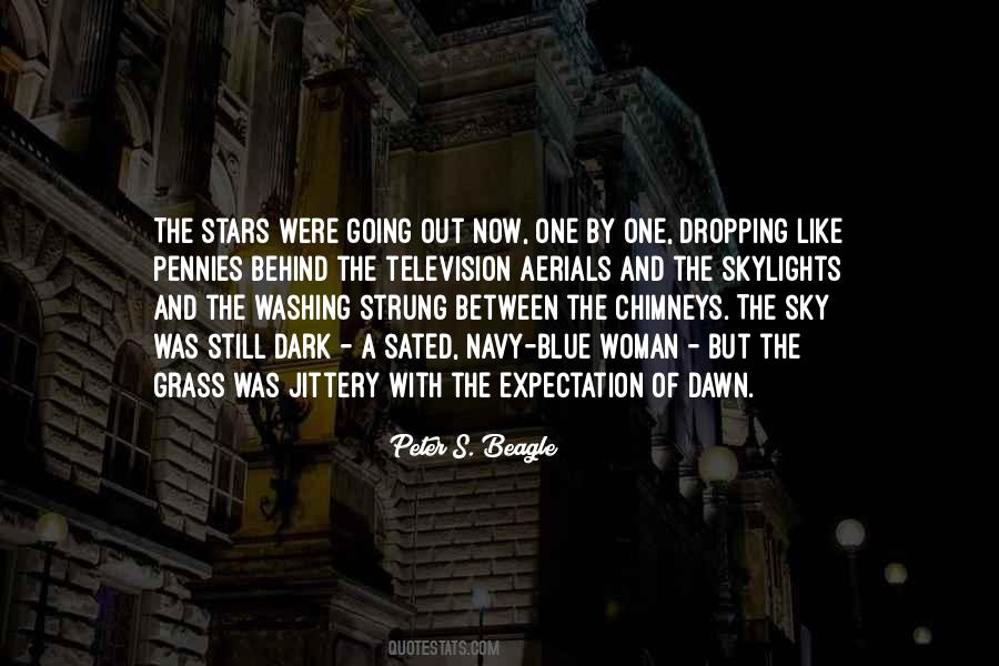 Dark Stars Quotes #468138