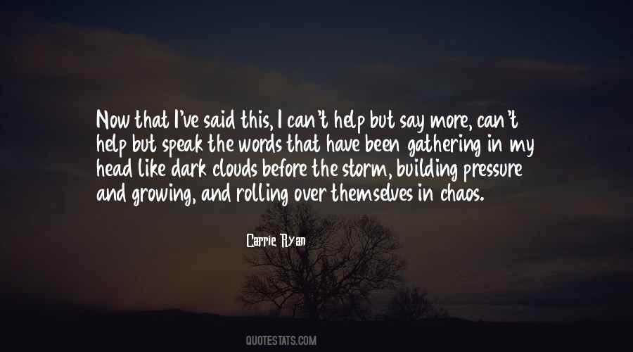 Dark Storm Quotes #1075927