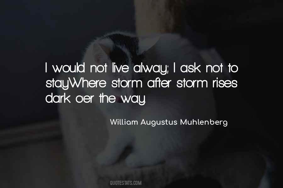 Dark Storm Quotes #1229115