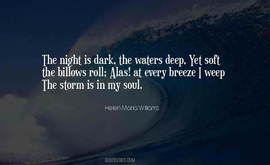 Dark Storm Quotes #133329