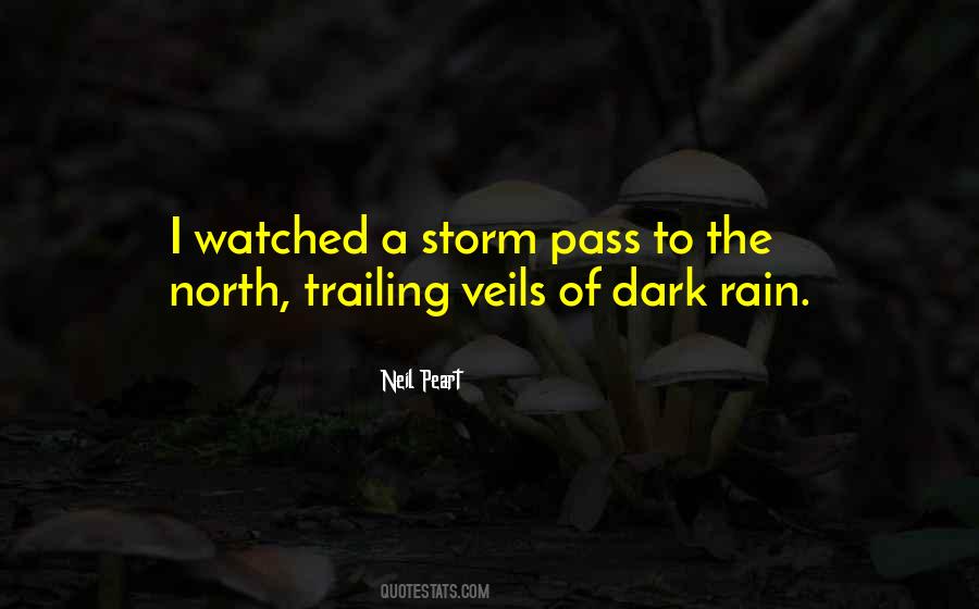 Dark Storm Quotes #1819508