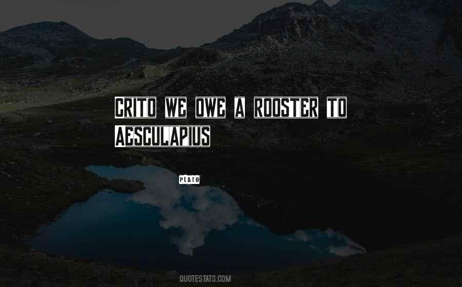 A Rooster Quotes #65613