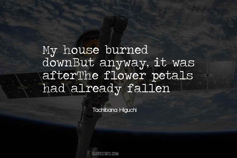Soheyla Narmizadeh Quotes #1055252