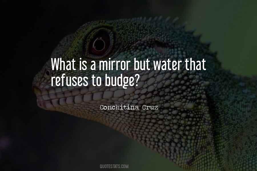 Conchitina R Quotes #777864