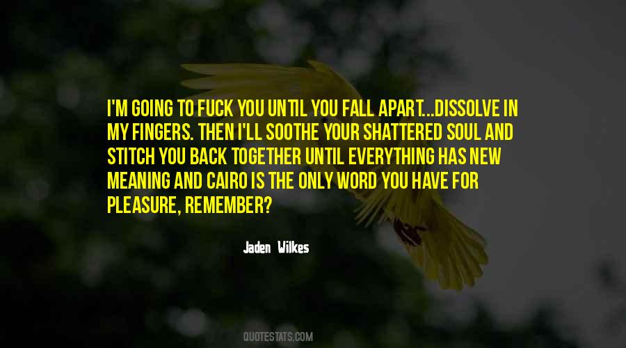 You Have My Soul Quotes #217114
