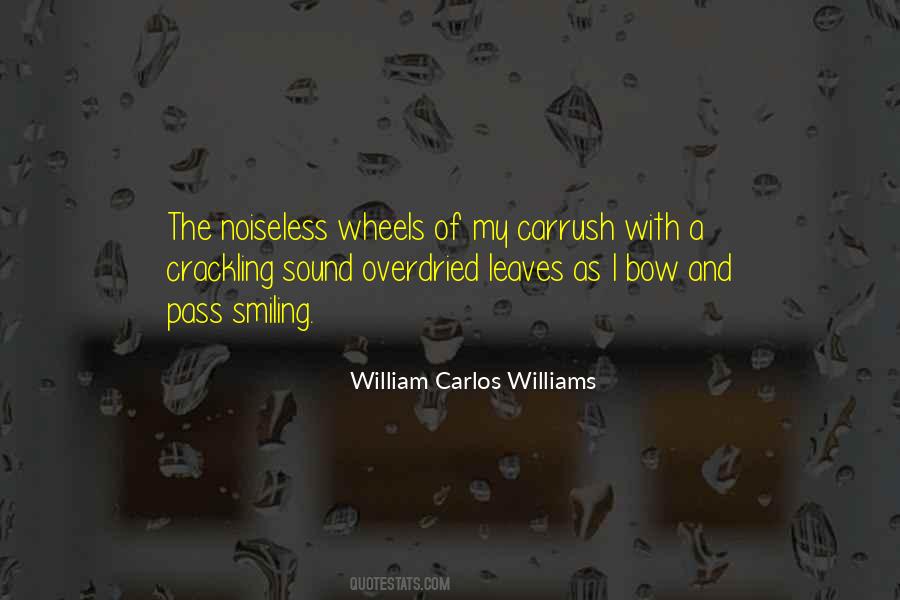 Zeeman Effect Quotes #775893