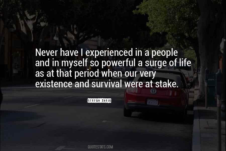 Sanseverino Musician Quotes #594219