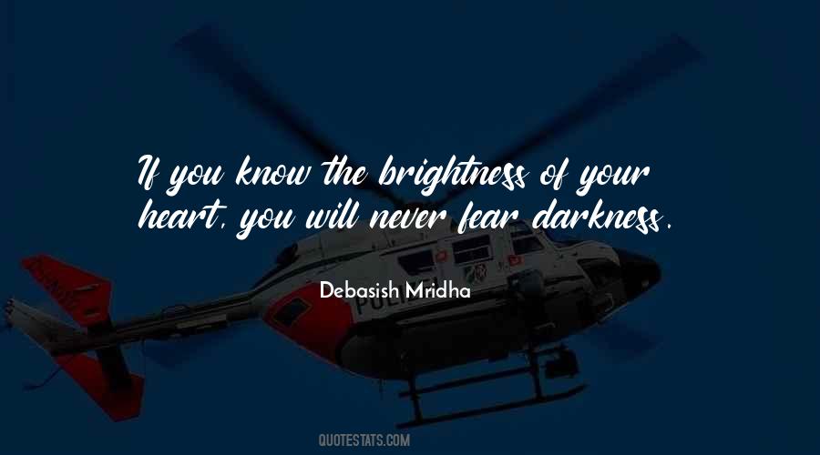 Darkness And Brightness Quotes #1204812