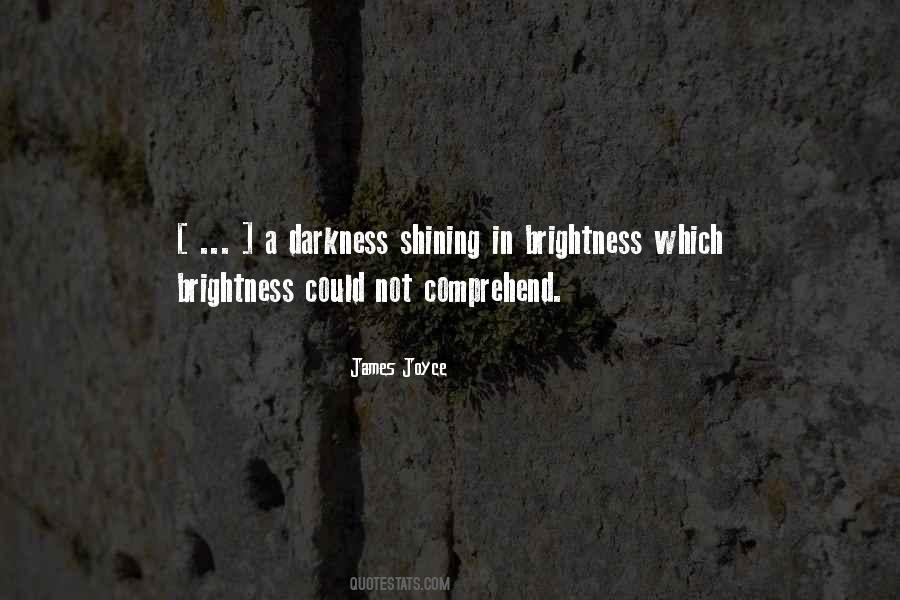 Darkness And Brightness Quotes #1845660