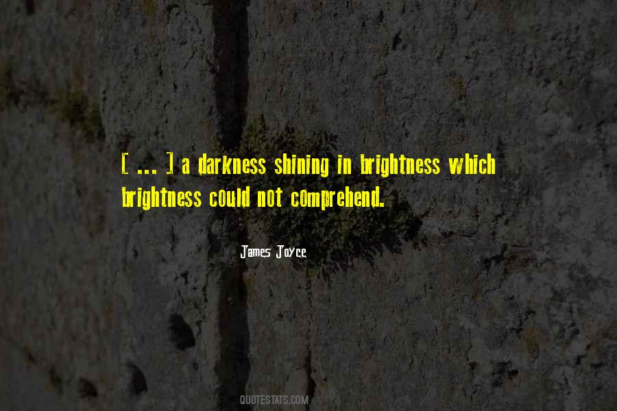 Darkness Brightness Quotes #1845660