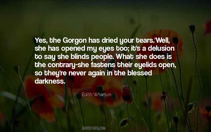 Darkness In Her Eyes Quotes #373574