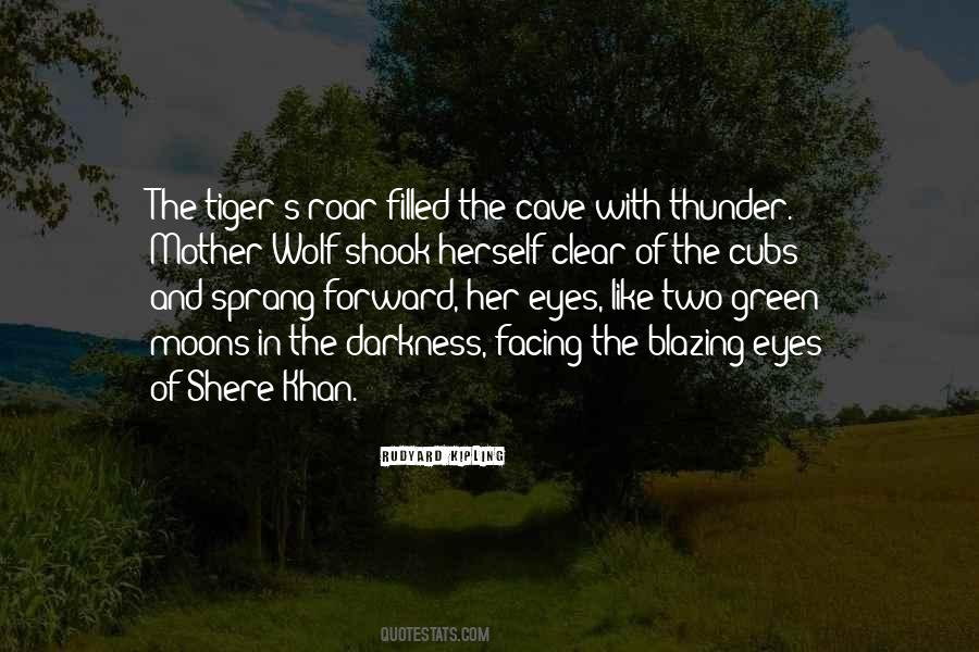 Darkness In Her Eyes Quotes #984712
