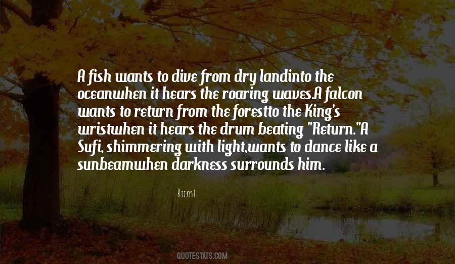 Darkness Into The Light Quotes #211579