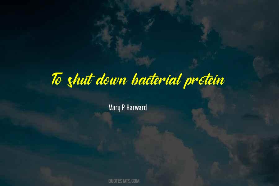 Dawniej Dekolt Quotes #664735