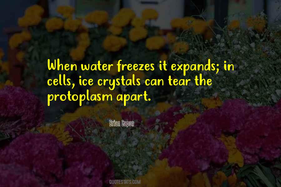 Retratar Spanish To English Quotes #448632
