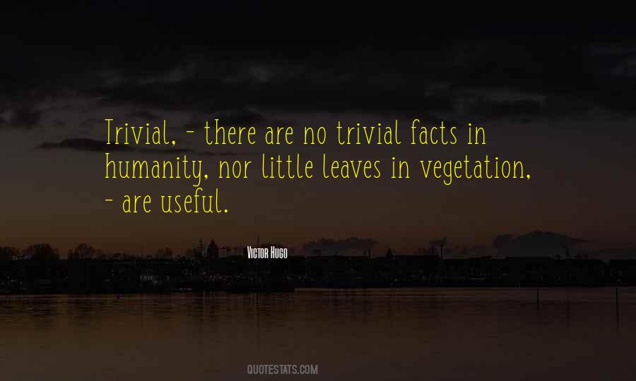 Deshazer Ryan Quotes #1675769
