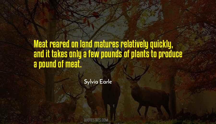 Jelsma Veterinary Quotes #1593841
