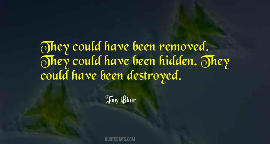 Biaggis Quotes #479080
