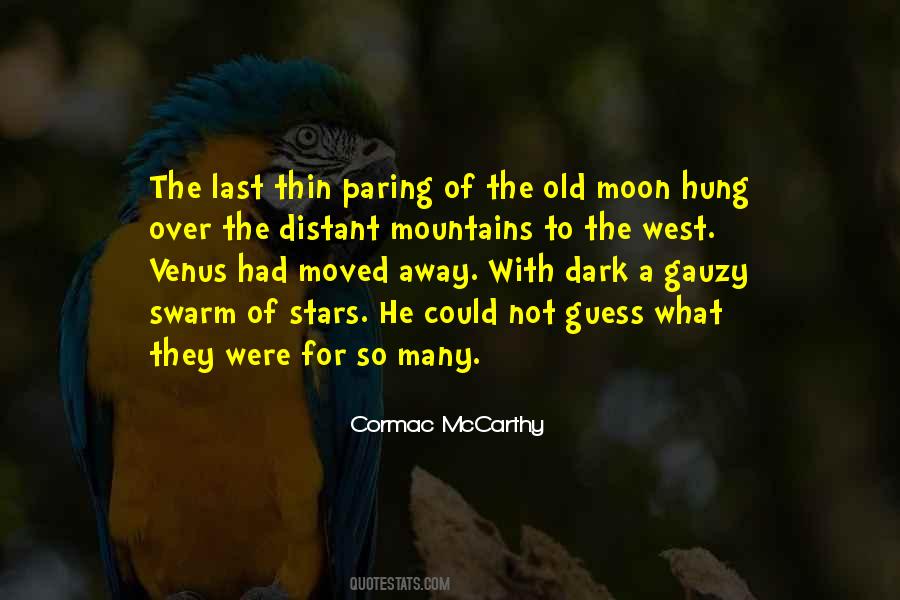 1175 Case Quotes #1181083
