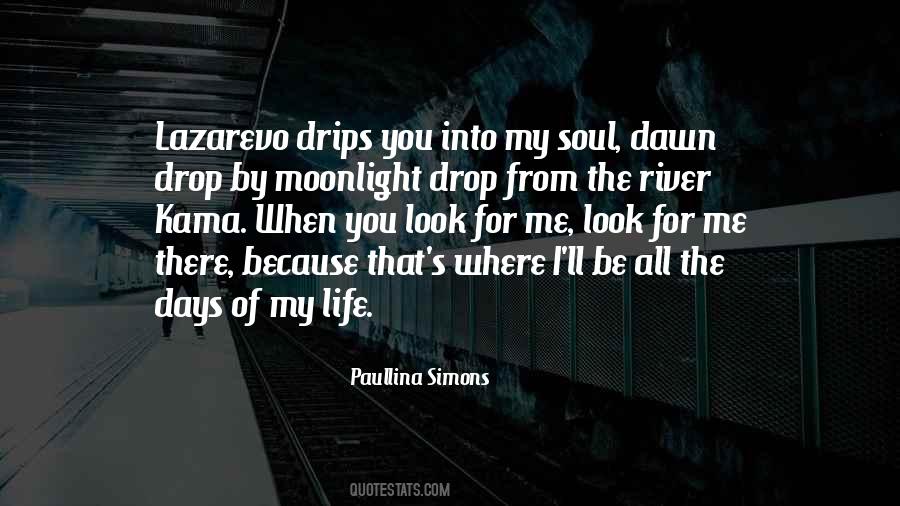 Into My Soul Quotes #1211152