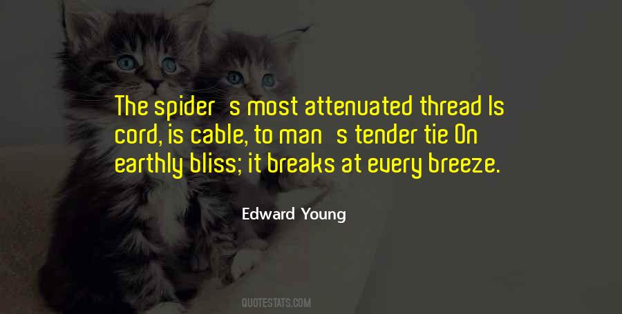 The Spider Quotes #1031618