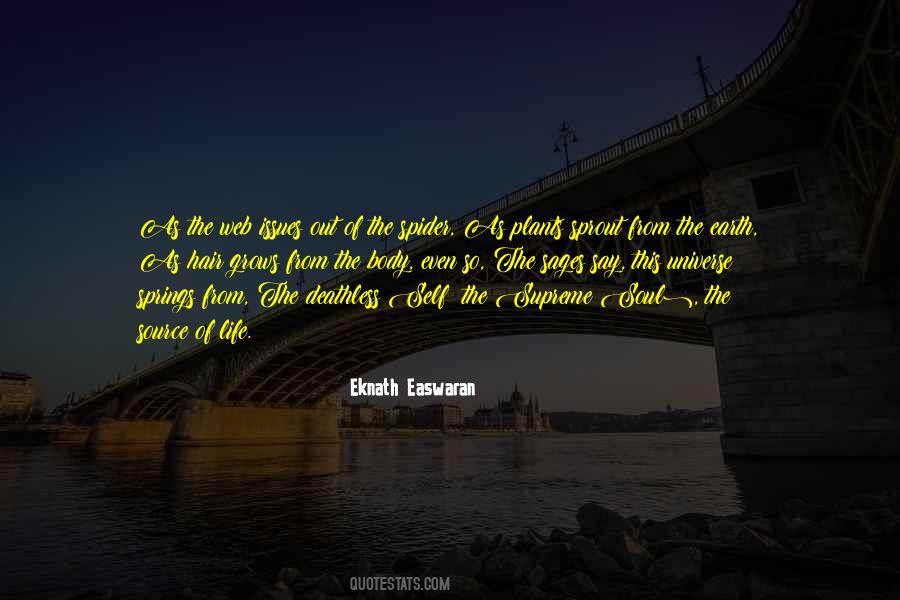 The Spider Quotes #1424400