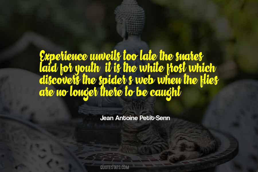 The Spider Quotes #1542492