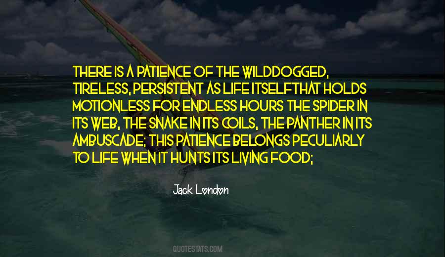 The Spider Quotes #980264