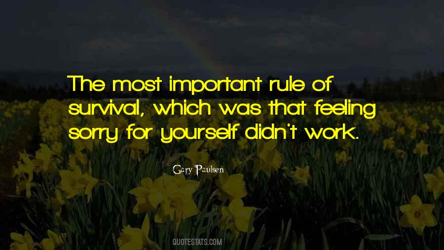 Rule Yourself Quotes #1088090