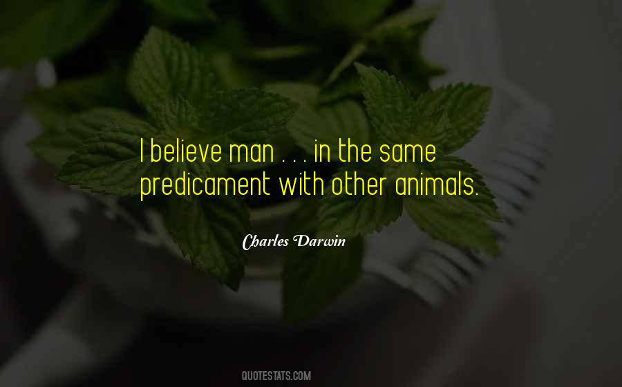 Stakeout On Dope Quotes #1567159