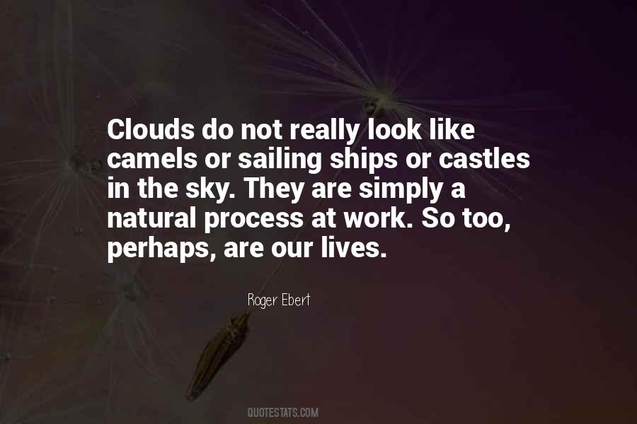 Natural Process Quotes #939340