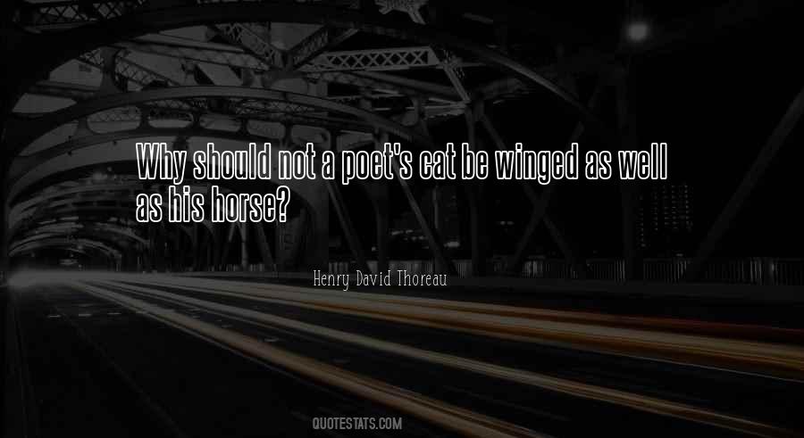 Kiviranta Rauma Quotes #821207