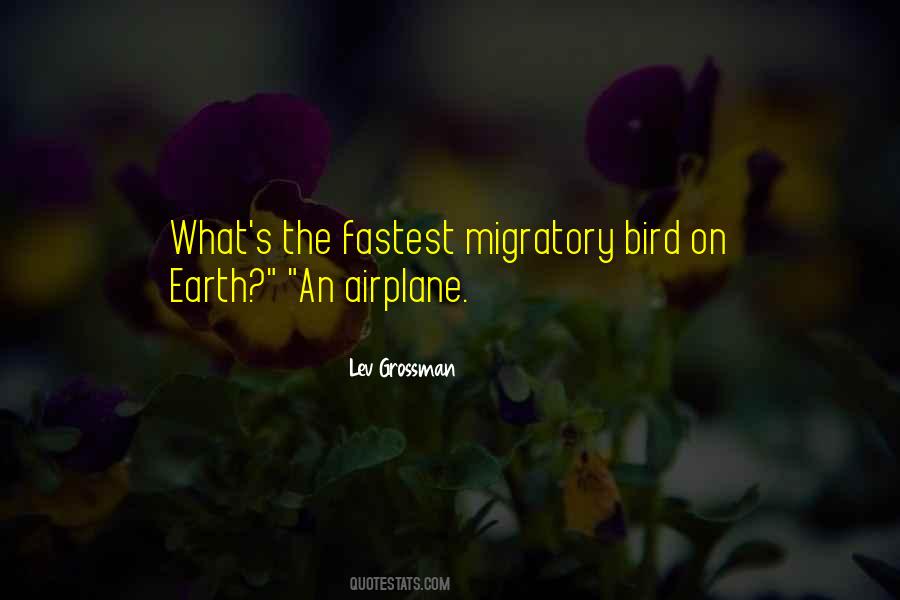 Airplane Bird Quotes #113520