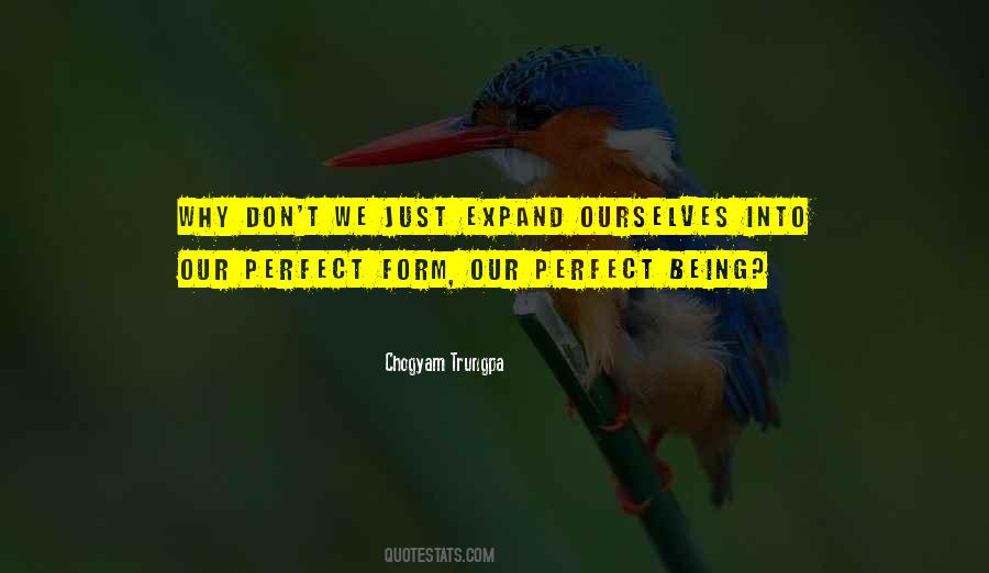 David Edgerton Quotes #1606891