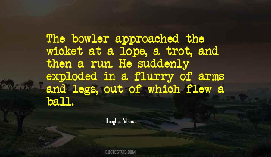 Game Of Cricket Quotes #1566310