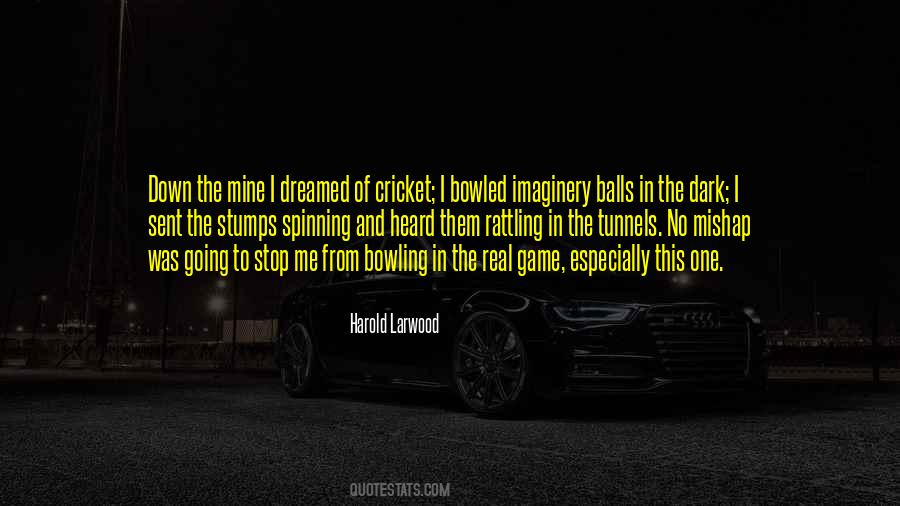 Game Of Cricket Quotes #688118