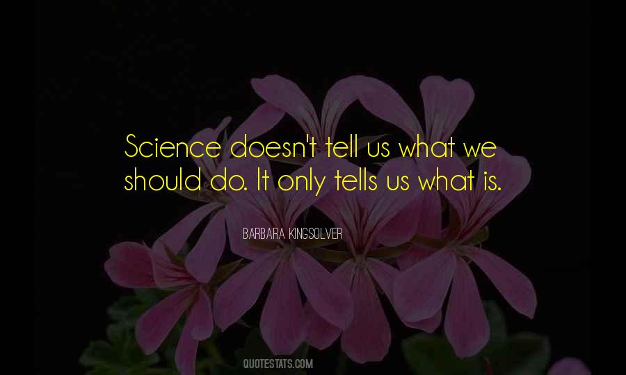 Abacate Engorda Quotes #667755
