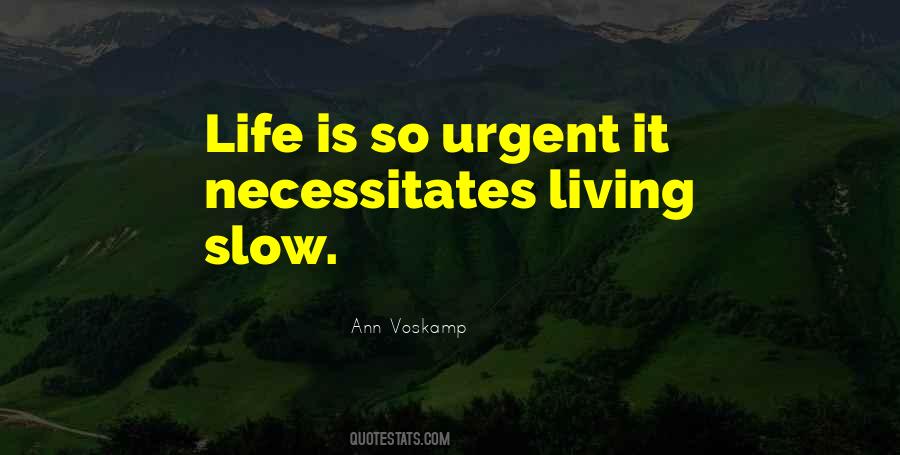 Unscratched Steam Quotes #1833156