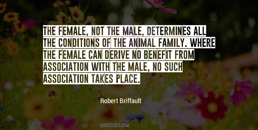Respectfulness Thesaurus Quotes #1836340