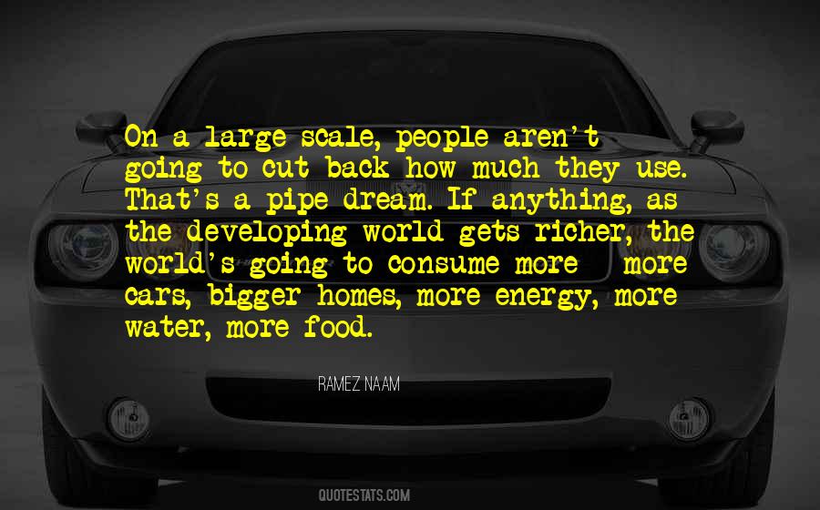 Scale Back Quotes #709564